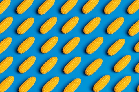 A pattern showcasing plastic corn against a blue background, highlighting the artificiality in