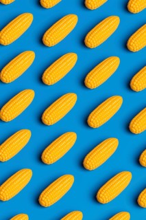 Stylized corn cobs arranged on a vivid blue background, symbolizing critique of junk food and