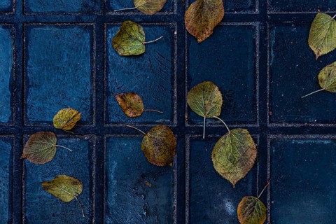 Aesthetic view of scattered yellow leaves resting on a tiled walkway in the old town of Tbilisi,