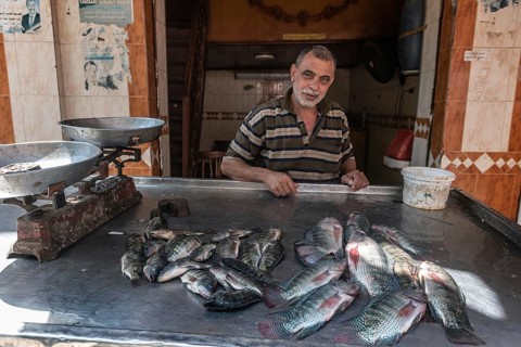 Rosetta, Egypt. June 27th 2024 An Egyptian man selling fresh fish caught in the River Nile in the