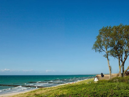 Coastal scene, blooming plants in the foreground, with a thatched building, Ahrenshoop, Baltic Sea,