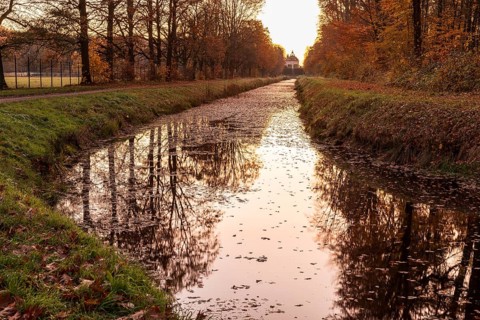 On the canal, visual axis to the pheasant castle in morning light, Moritzburg Castle Park, Saxony,