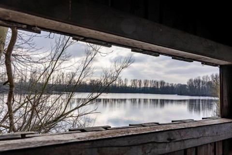 The Bislicher Insel, nature reserve on the Rhine, Altrheinarm, near Xanten, Lower Rhine, Wesel