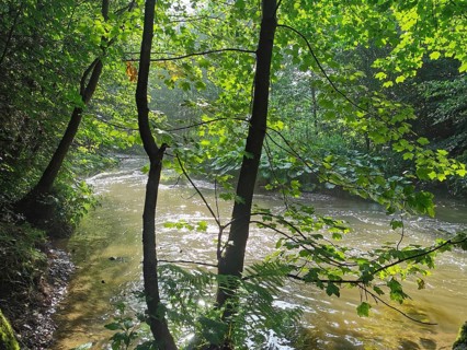 Light falls through the trees on a gently flowing river, which creates a peaceful scene, hiking in