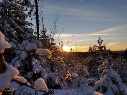 Winter landscape with snow-covered trees and sunset on the horizon, winter, hiking in the