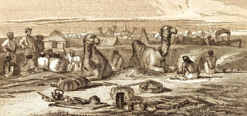 Shikohabad camp, Uttar Pradesh, India, camels, tents, camp, people, luggage, tea kettle, food,