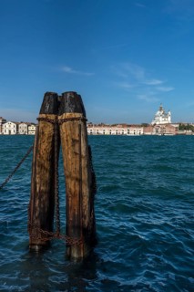 View of Santa Maria della Salute and the Campanile in Venice from Giudecca Island, Venice, Veneto,