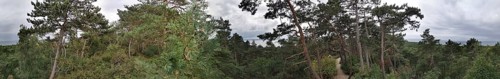 Panoramic view of a wooded landscape through which a sandy path leads on the Baltic Sea under a