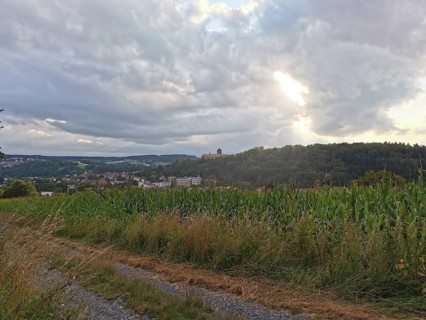 View of Rosenberg Fortress in Kronach with a corn field in the foreground under a cloudy sky,