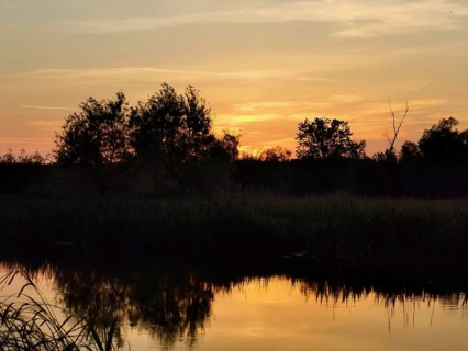 The quiet Spree at sunset with reflections of vegetation and shimmering colors in the sky,