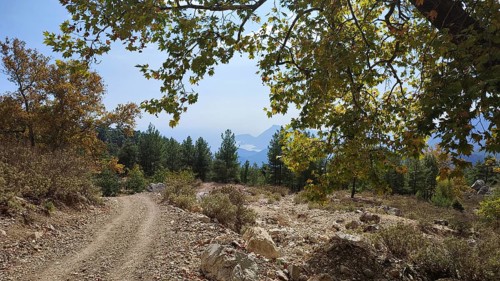 Rocky trail through a wooded landscape with views of mountains and the Tahtali, hiking on the