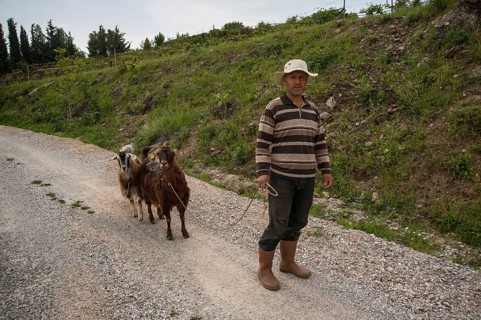 Sirince Village, Selcuk, Izmir Turkey. May 1st 2017. Sirince Village near Selcuk in Izmir Turkey