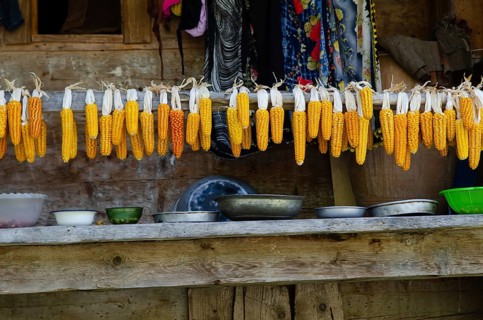 Trabzon, Turkey. 6th September 2014 Sweet corn hanging on the balcony of a traditional Black Sea