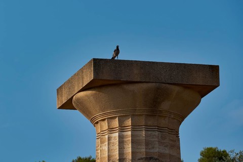 Temple of Zeus, A single column with a bird under a blue sky, Archaeological Site, Ancient Olympia,