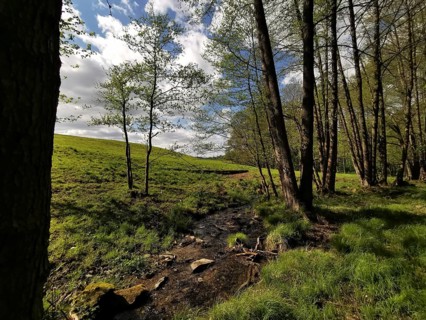 A small stream crosses a quiet forest clearing under a blue sky with rays of sunshine, hiking in