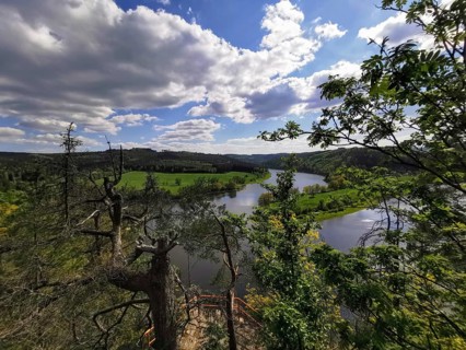 Extensive view of a river and forest from a viewpoint under a blue sky, hiking in the Thuringian
