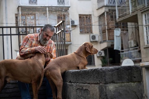 Tbilisi, Georgia. September 12th 2025. A local Georgian man with his pet dogs in the streets of