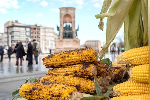 Freshly grilled corn on the cob for sale on a typical Turkish street stall in Taksim Square on the