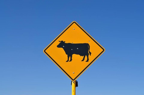 A sign with a cow symbol and a few bullet holes under clear blue sky, Monument Valley, Navajo