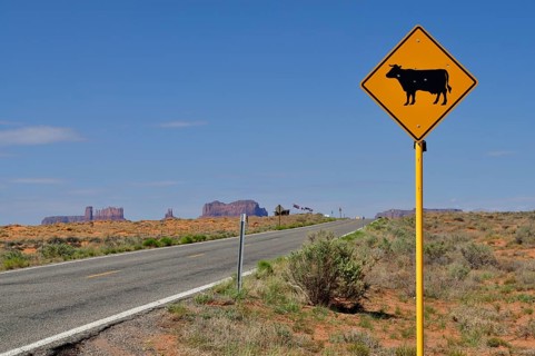 Cow warning sign next to a winding road through the desert near Monument Valley, Navajo Tribal