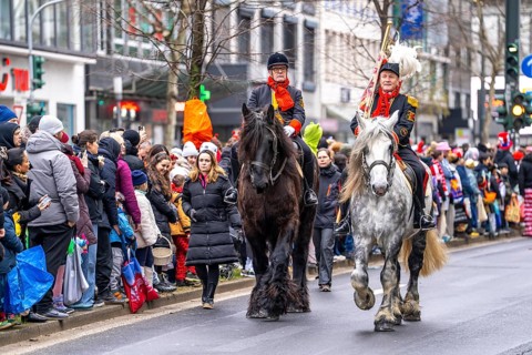 Rose Monday procession in Düsseldorf, group of horses at the street carnival, sometimes heavy rain,