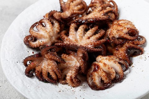 Baby octopus grilled on a white plate, homemade, no people