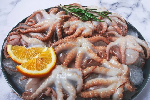 Fresh baby octopuses on ice, garnished with lemon and rosemary, on a marble table, no people
