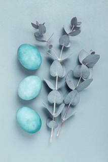 Composition of eucalyptus leaves and turquoise colored eggs, on a gray background, Easter card, top