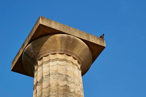 Temple of Zeus, ancient column with a bird on top under clear blue sky, archaeological site,