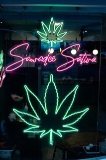 Bangkok, Thailand. March 12th 2025. Illuminated neon green cannabis leaf sign in the Patpong Night