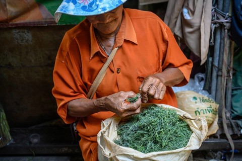 Mae Klong, Thailand. March 15th 2025. An elderly Thai woman sorts through a bag of herbs at the