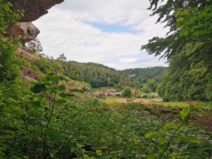 View through dense vegetation of a landscape with meadow, forest and buildings, hiking in the