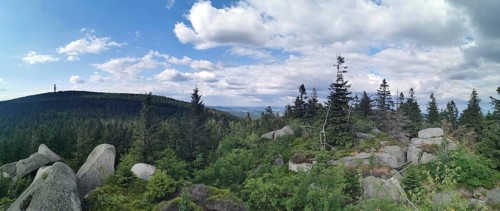 Panoramic view from Nusshardt over a wooded landscape with rocks and cloudy sky in the background,