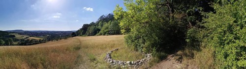 Wide landscape with fields and forest under clear, sunny skies, hiking in the Franconian Forest