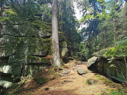 Winding hiking trail through a forest with moss-covered rocks, Franconian mountain trail, hiking in
