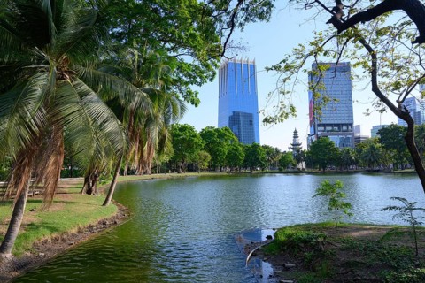 Bangkok, Thailand. March 4th 2025. A rare urban green space in the city centre, high rise modern