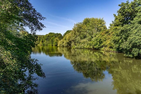Regnitz Altwasser in Forchheim, Upper Franconia, Bavaria, Germany