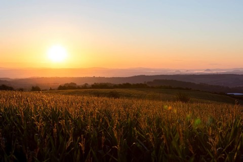Colour-intensive sunrise towards Saxon Switzerland seen from round, Bannewitz, Saxony, Germany
