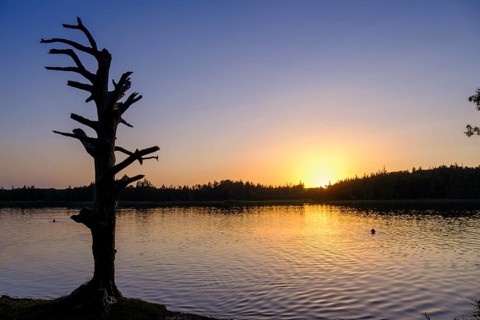 Sunset at Fonsee, Ostersee, near Iffeldorf, Upper Bavaria, Bavaria, Germany