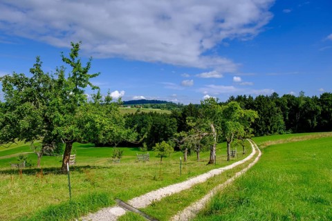 View over orchards on Schellenberg, Bergen, Chiemgau, Upper Bavaria, Bavaria, Germany