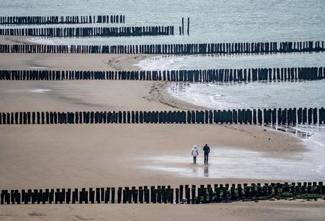 Coastal protection, through wooden posts, paalhoofden, on the beach, breakwater, the piles, some of