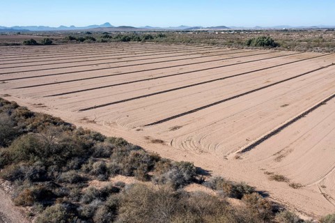 Buckeye, Arizona - A dry farm field in the Arizona desert. The drought in the U.S. west is making