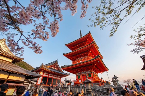 Sanjunoto Pagoda and Kyodo Hall in the evening light, cherry blossom, Kiyomizu-dera Temple, in the