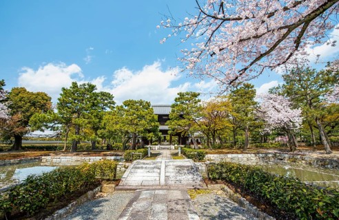 Sammon or Bogetsuro Gate with cherry blossoms, entrance to Kennin-ji Zen Buddhist Temple,