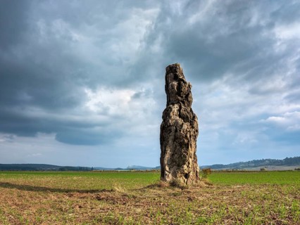 The menhir of Benzingerode, with a height of 3.85 m the largest prehistoric menhir in northern
