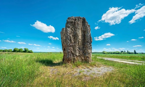 The menhir of Derenburg, height 2, 9m, Wernigerode, Harzvorland, Saxony-Anhalt, Germany