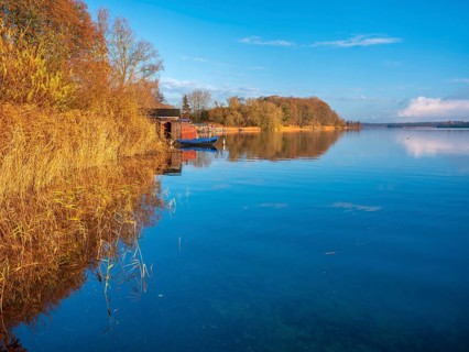 Shore with boathouses on Schaalsee in morning light, reeds and trees in autumn colors, Schaalsee