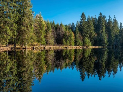 Small lake in the Thuringian Forest under blue sky, spruce forest reflected, Ochsenbacher Teich,