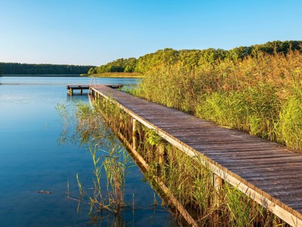 Bathing area with jetty in the reeds in the evening light, Dranser See in the district of