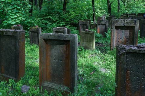 Lezajsk Jewish Cemetery, Poland